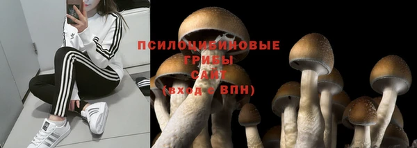 прущие грибы Верхнеуральск